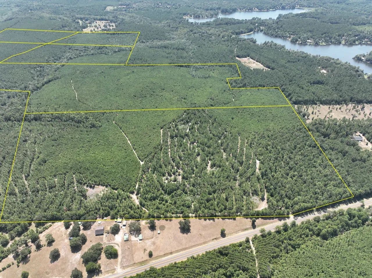 107 Acres | T-1 | FM 256 - Colmesneil, Texas, 75938
