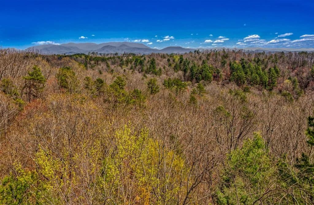 Lots & Land-Other in Ellijay - Ellijay, Georgia, 30540
