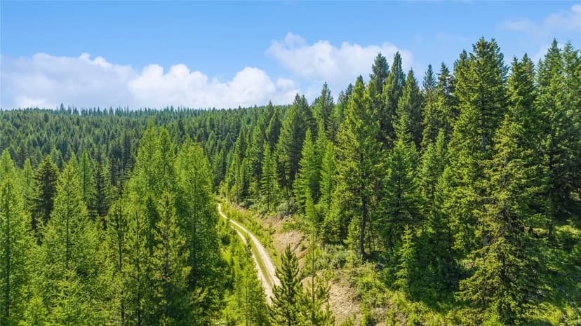 Property from Lot 4 Butcher Creek East - KW