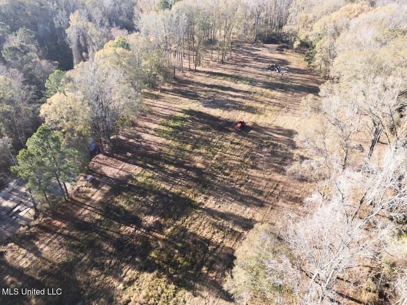 84.5 Acres in Woodville, MS on Hwy 24 with Creeks