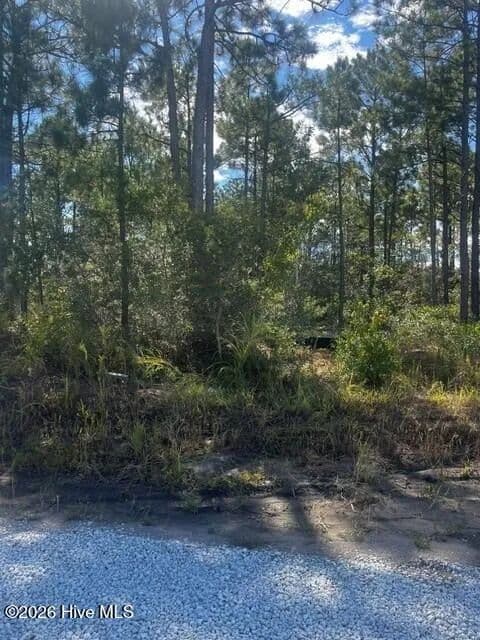 Vacant Land in Hampstead - Hampstead, North Carolina, 28443