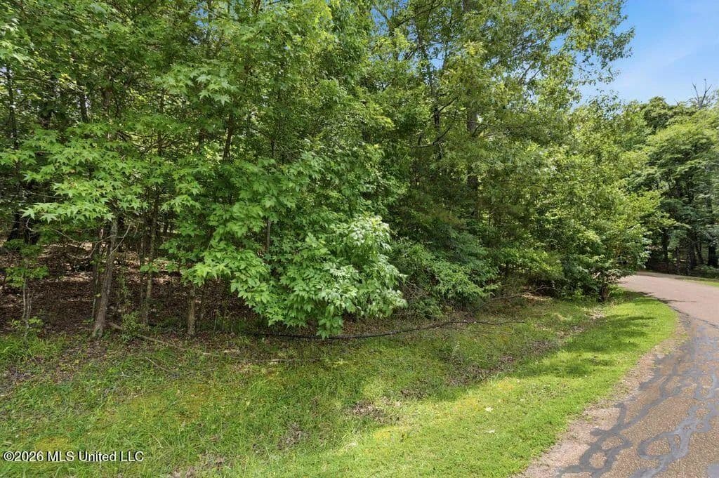 Property from 0 Dover Lane - KW - Madison, Mississippi, 39110