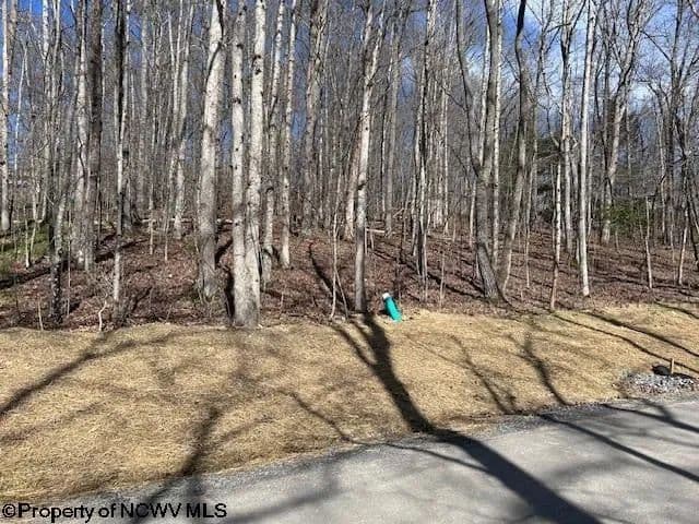 Lots & Land-Other in Beverly - Beverly, West Virginia, 26241