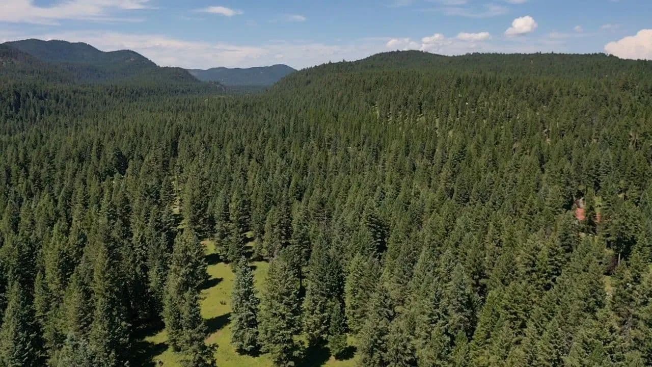 8.2 Acres of Land for Sale in Kalispell, MT - land for sale