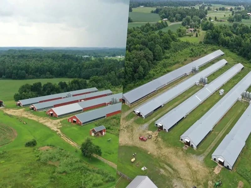 Brooks Broilers – Nine House Broiler Farm in Dekalb County, Alabama - Fyffe, Alabama, 35971