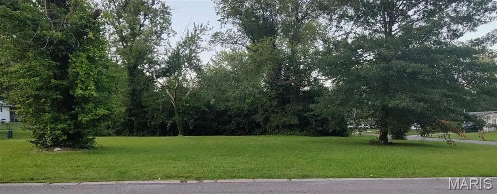 Vacant Land in St Louis - Missouri, 63138