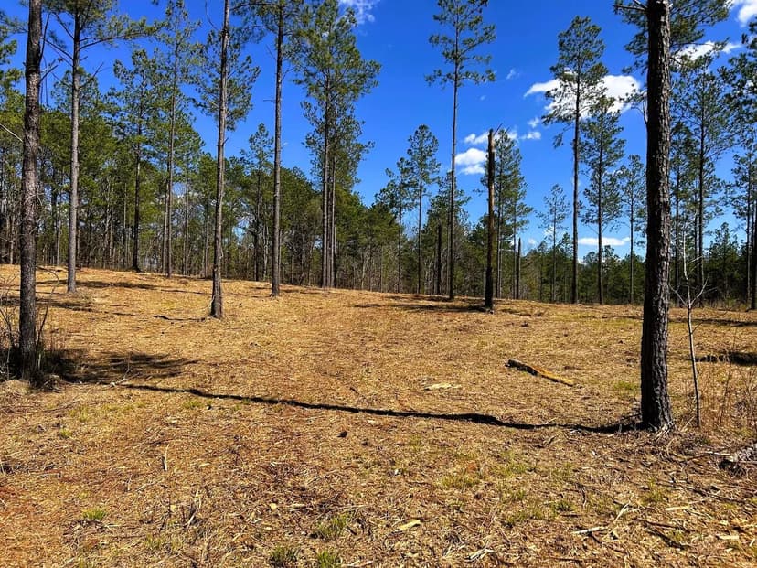 Property from Tract 26b Hughes Lake Road Se - KW