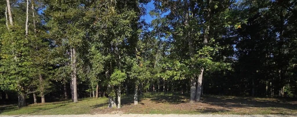 Lots & Land-Other in Louisa - Louisa, Kentucky, 41230
