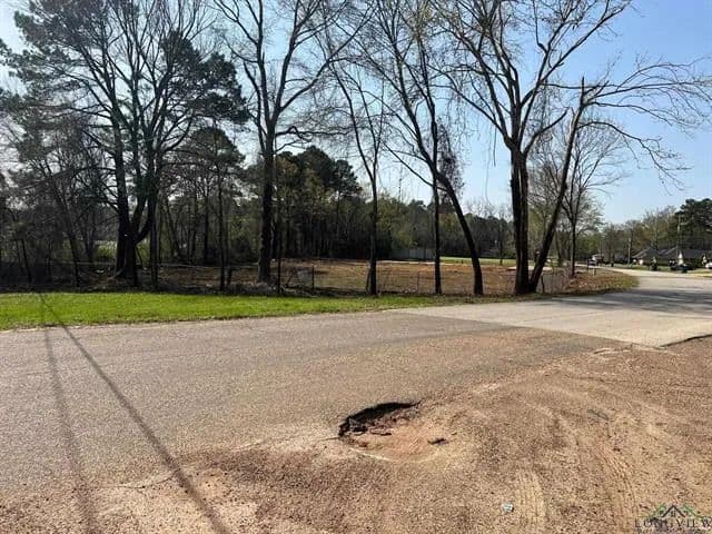 Vacant Land in Henderson - Henderson, Texas, 75652
