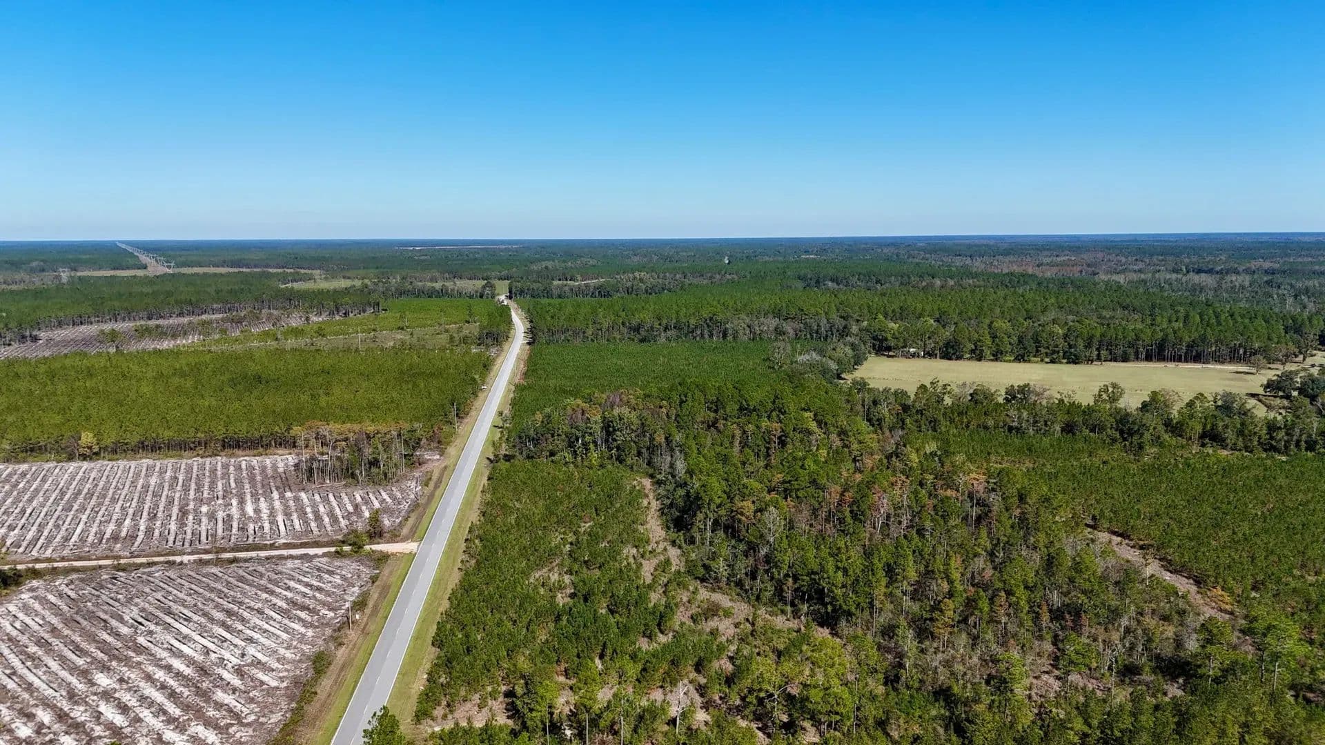 81 Acres of Land for Sale in Folkston, GA - Folkston, Georgia, 31537