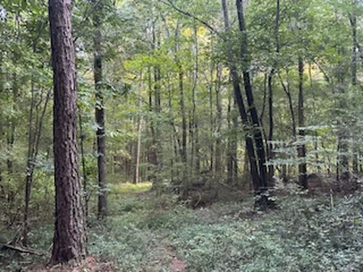 40+/- Wooded Acres-Skyball Mountain Area - Blountsville, Alabama, 35031