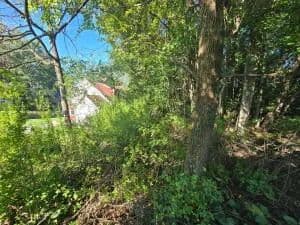 Lots & Land-Other in Summersville - Summersville, West Virginia, 26651