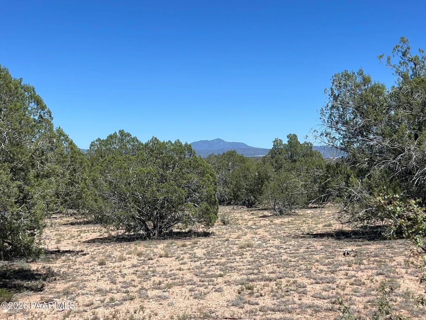 Property from 202 Cooks Trail - KW - Ash Fork, Arizona, 86320