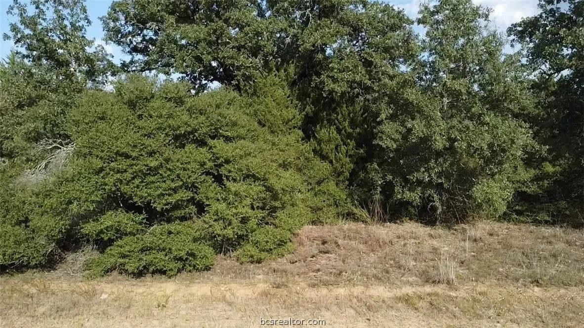 Vacant Land in Hilltop Lakes - Hilltop Lakes, Texas, 77871
