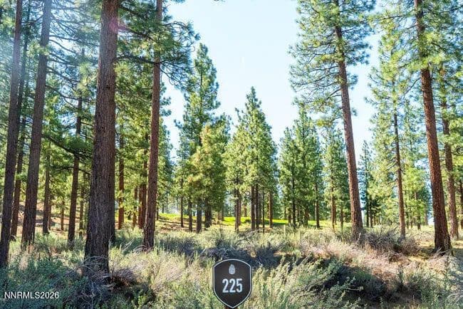 Vacant Land in Carson City - Carson City, Nevada, 89705