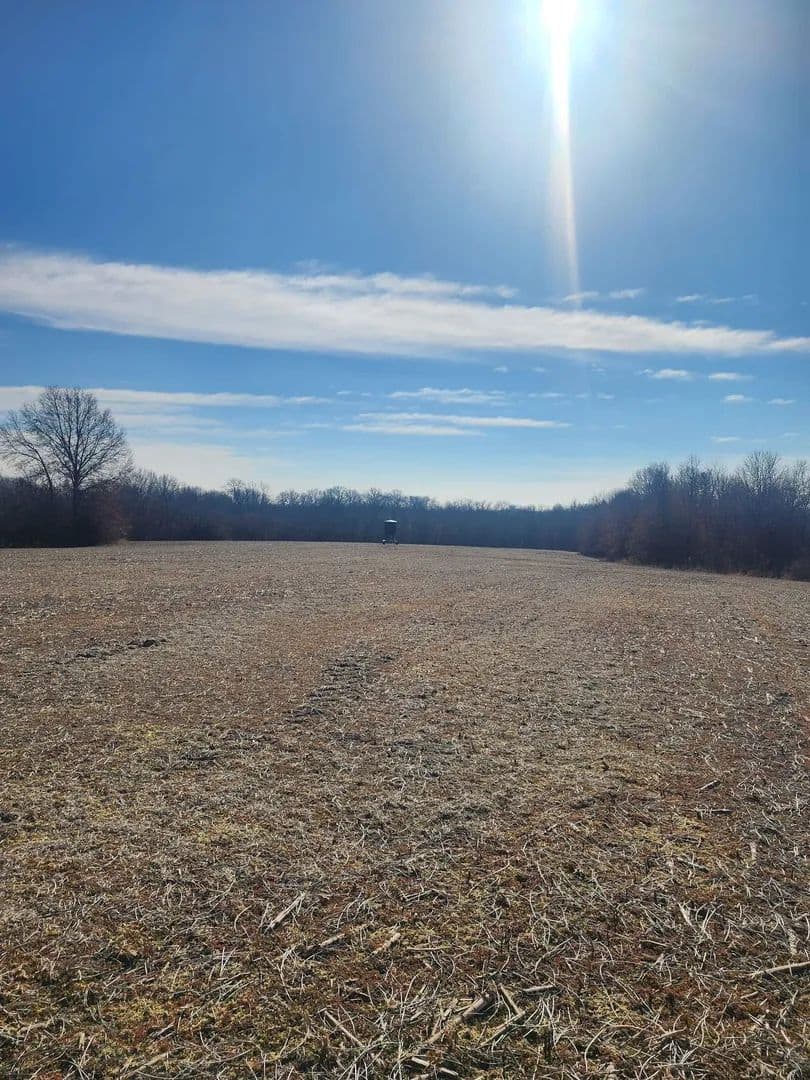 120 ac Linn Co. Exceptional Hunting and Crop Income
