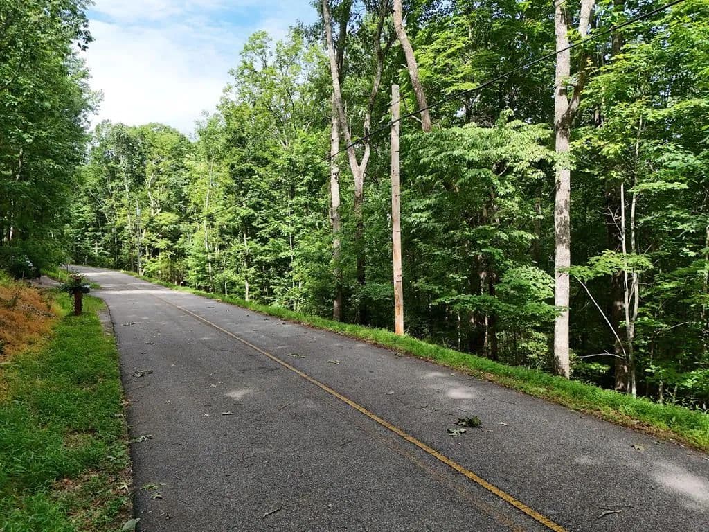 Lots & Land-Other in Blue Ridge - Blue Ridge, Georgia, 30513