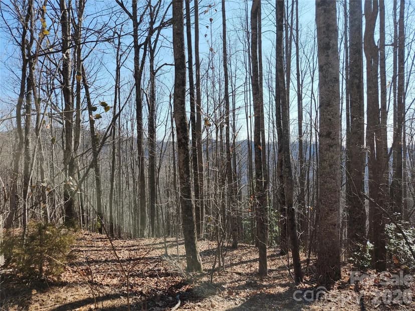 Property from Lots 78&79 McKenzie Way S - KW