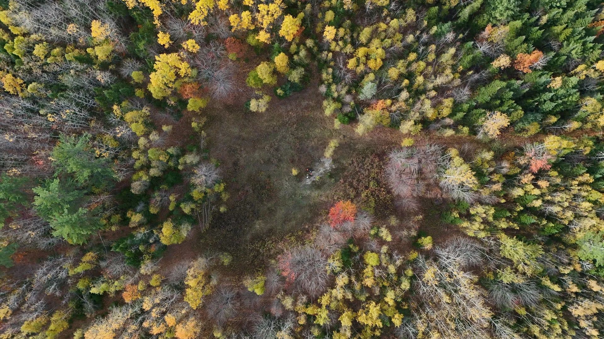 Lots & Land-Other in Newburgh - Newburgh, Maine, 04444