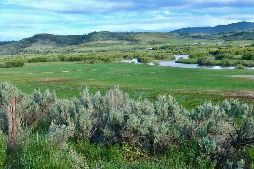 Property from TBD Bailey Creek Rd. - KW