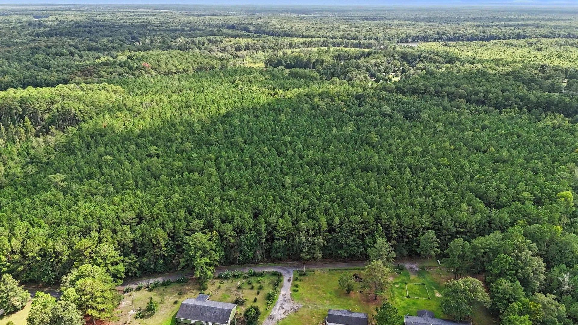 Vacant Land in Georgetown - Georgetown, South Carolina, 29440