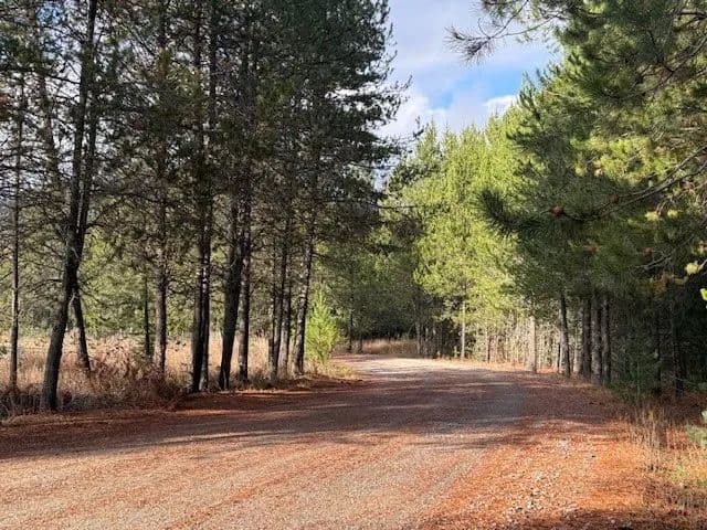 Vacant Land (0-10 Acres) in Priest River