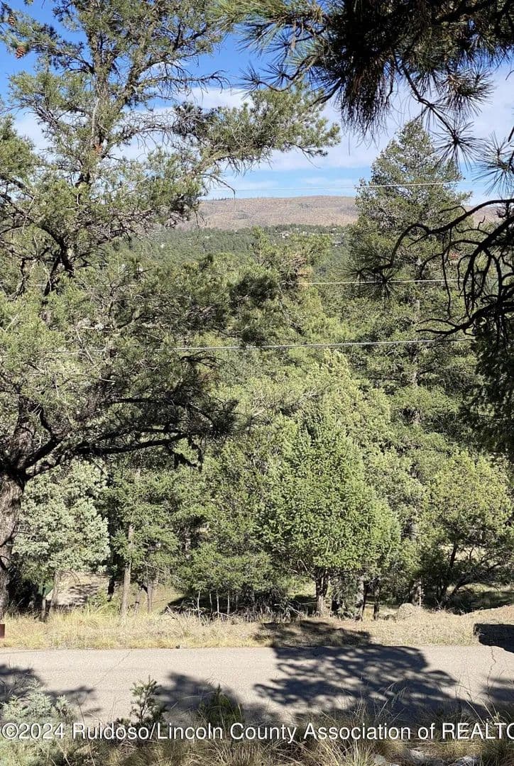 Lots & Land-Other in Ruidoso