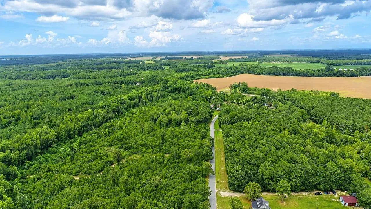 Blackwater Land Group Gully Branch #2 - Little Rock, South Carolina, 29567