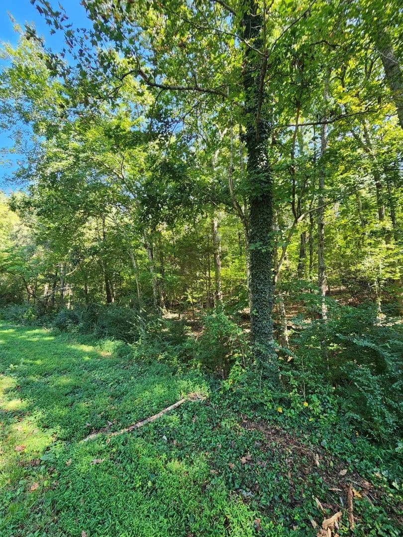 15 Acres of Land for Sale in Decatur, TN - Decatur, Tennessee, 37322