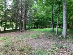 Lots & Land-Other in Summersville - Summersville, West Virginia, 24701