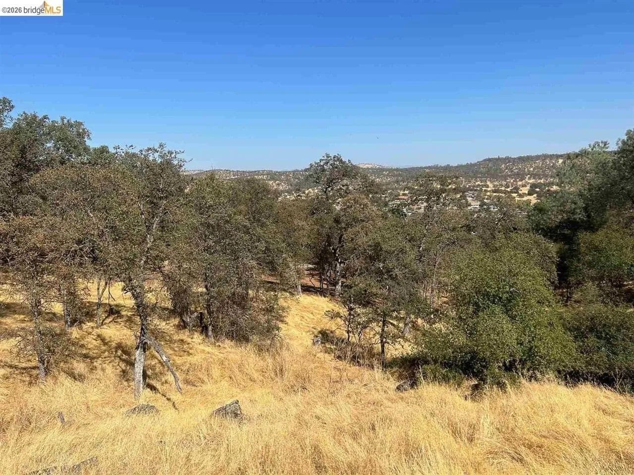 Lots & Land-Other in Copperopolis - Copperopolis, California, 95228