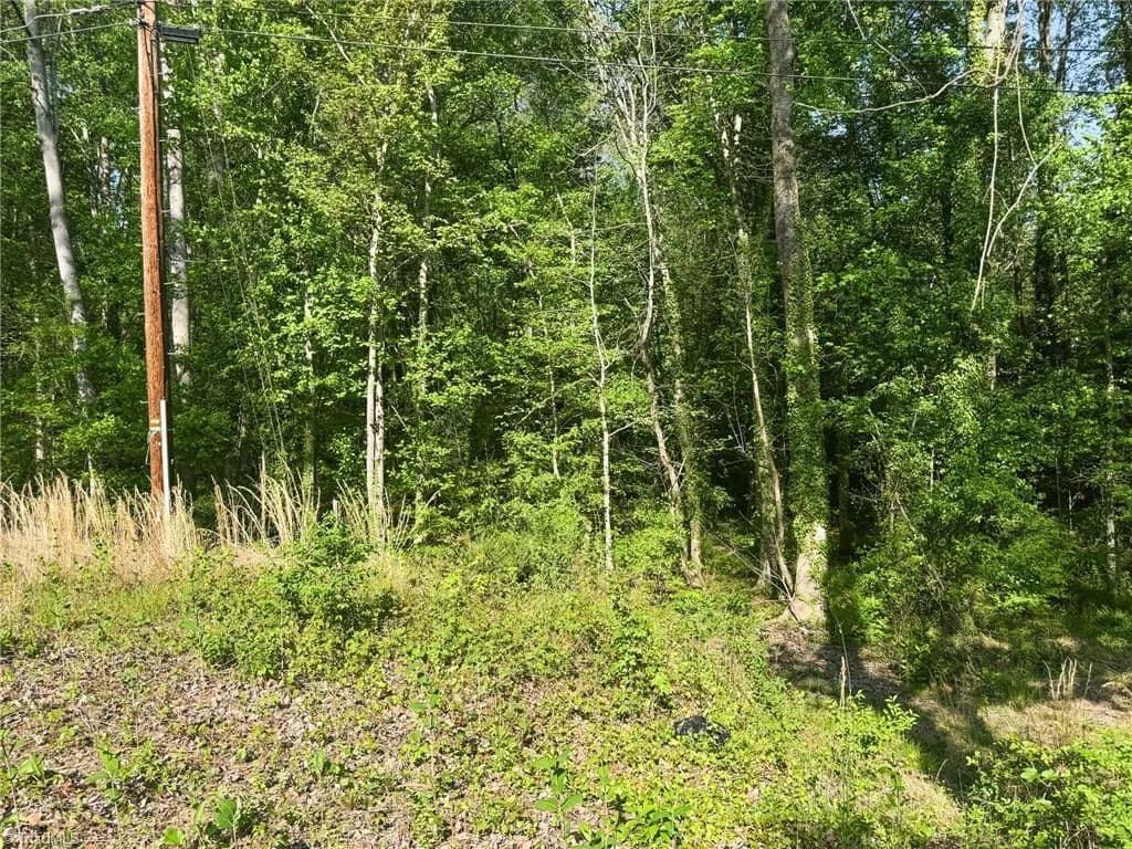 Vacant Land in Winston-salem - Winston-Salem, North Carolina, 27106
