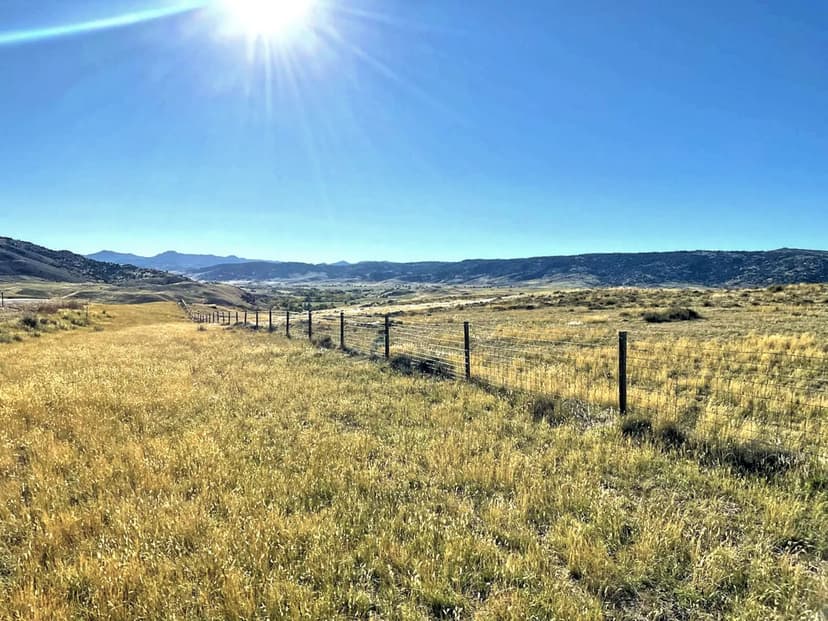Cold Springs Sanctuary