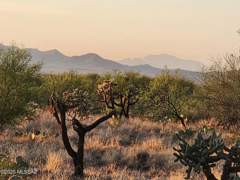 Vacant Land in Tucson