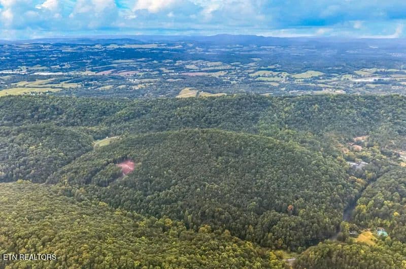 43.32 Acres of Land for Sale in Bulls Gap, TN - Bulls Gap, Tennessee, 37711