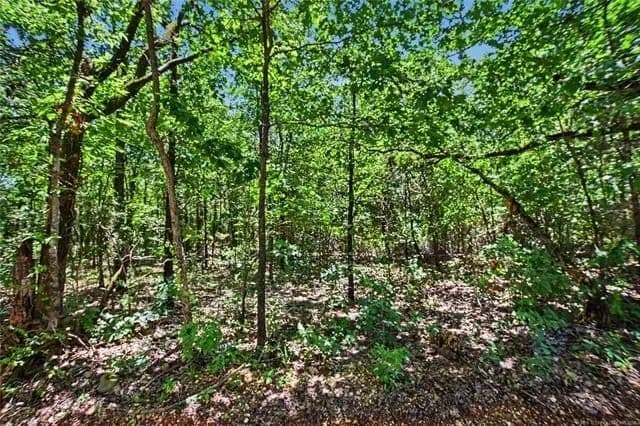 Lots & Land-Other in Welling - Welling, Oklahoma, 74471