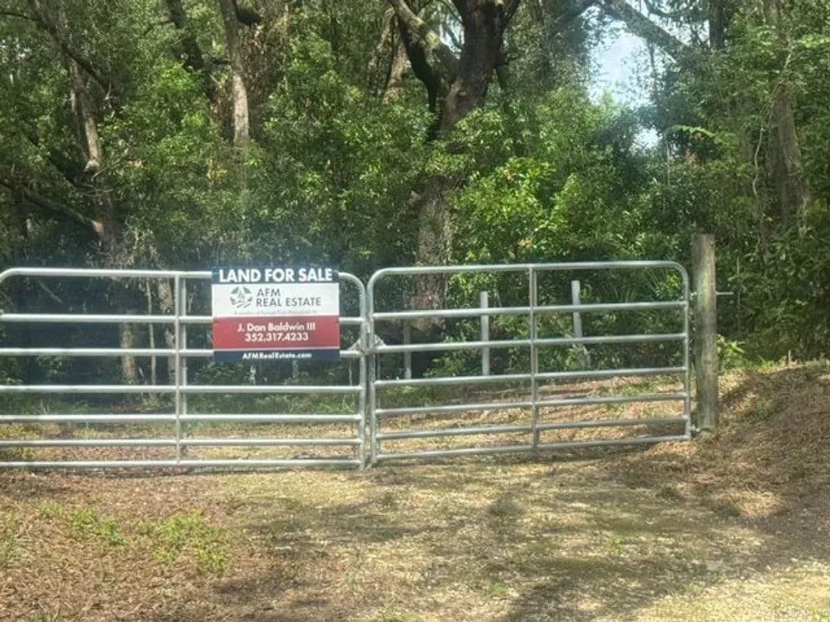 Adam G 34.72 acres - High Springs, Florida, 32643