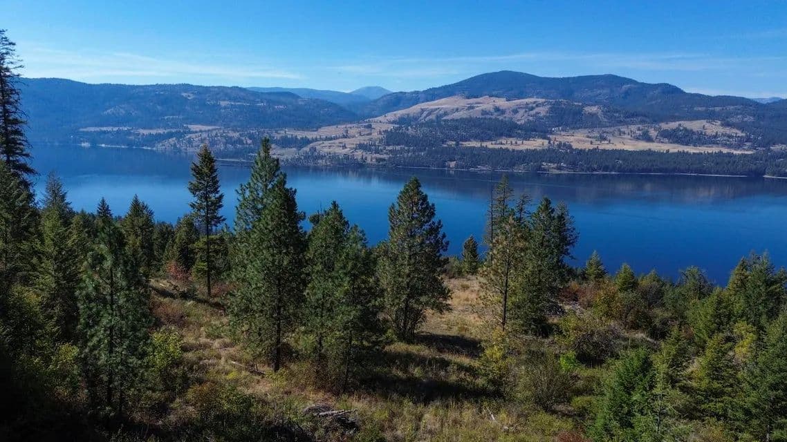 Vacant Land (10+ Acres) in Kettle Falls - Kettle Falls, Washington, 99141