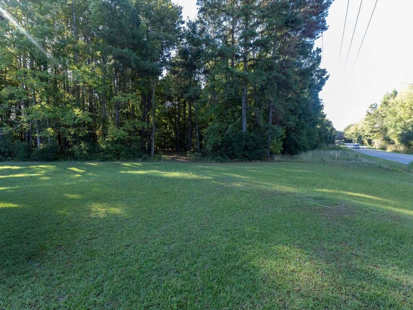 Vacant Land in Alcolu - Alcolu, South Carolina, 29001