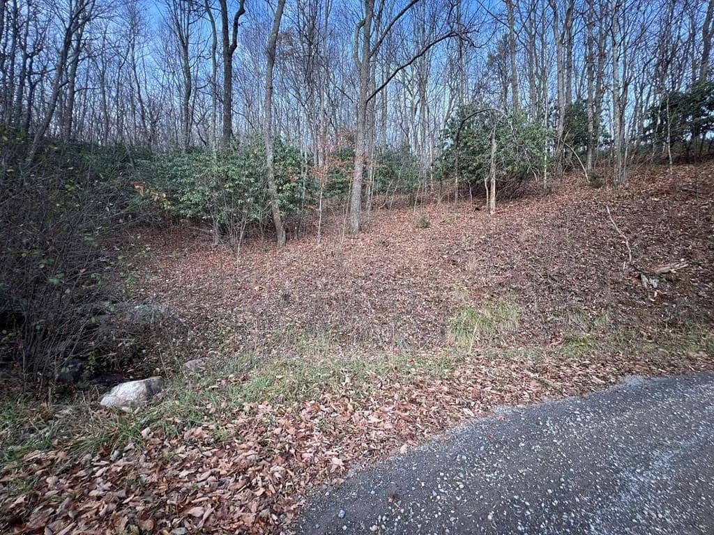 Land -Single Family Acreage in Tazewell - Tazewell, Virginia, 24651
