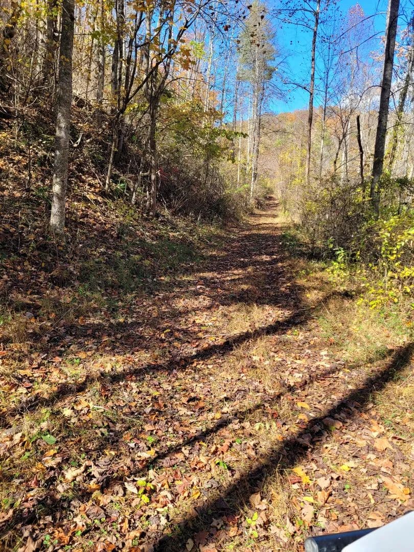 Land -Agricultural (Not Zoned) in Hiwassee