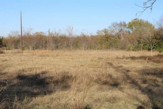 Land -Agricultural (Not Zoned) in Wills Point