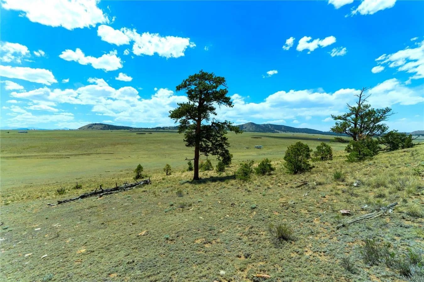 1408 Larimer Drive - Hartsel, Colorado, 80449