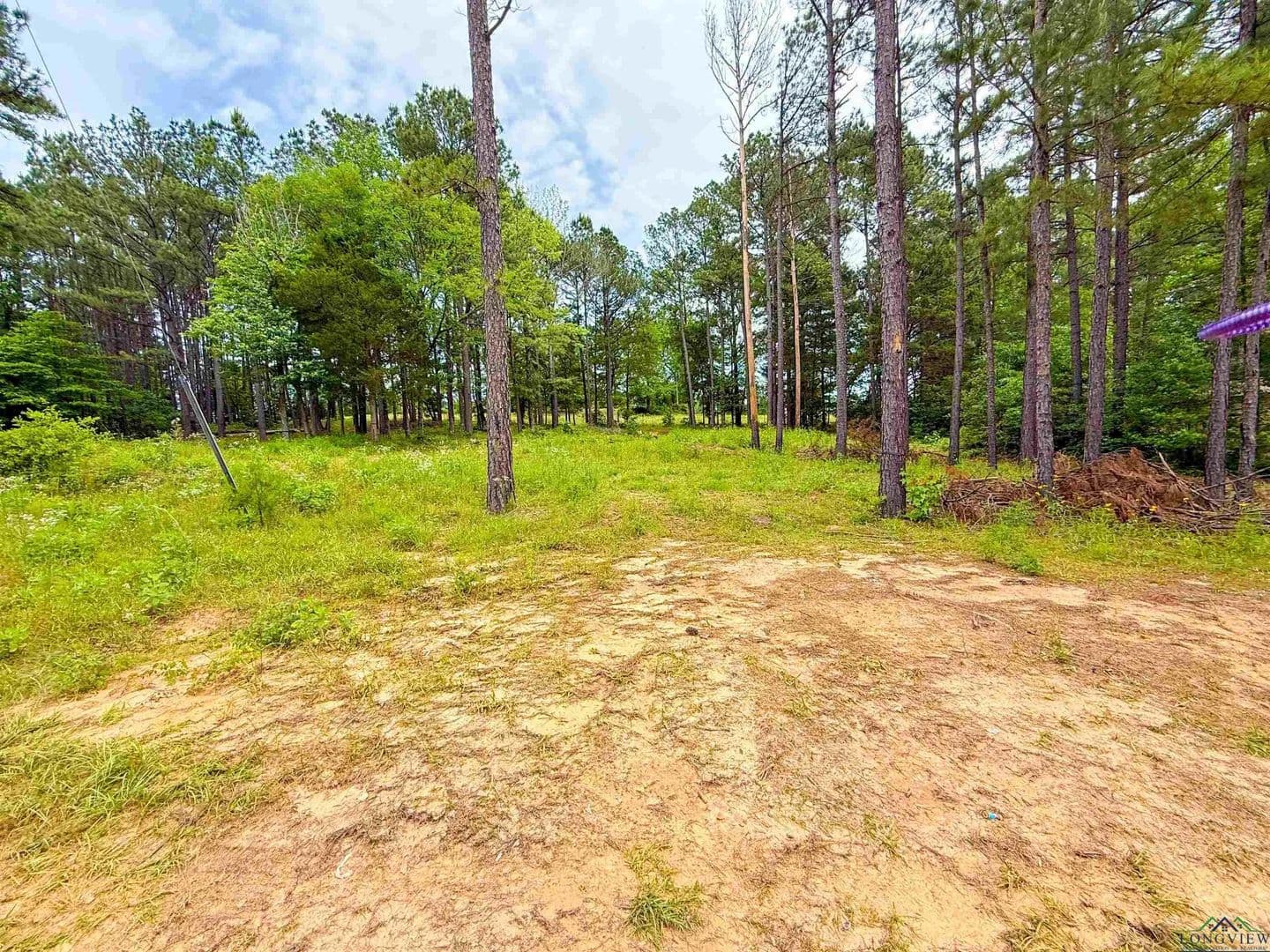 Vacant Land in Overton - Overton, Texas, 75684