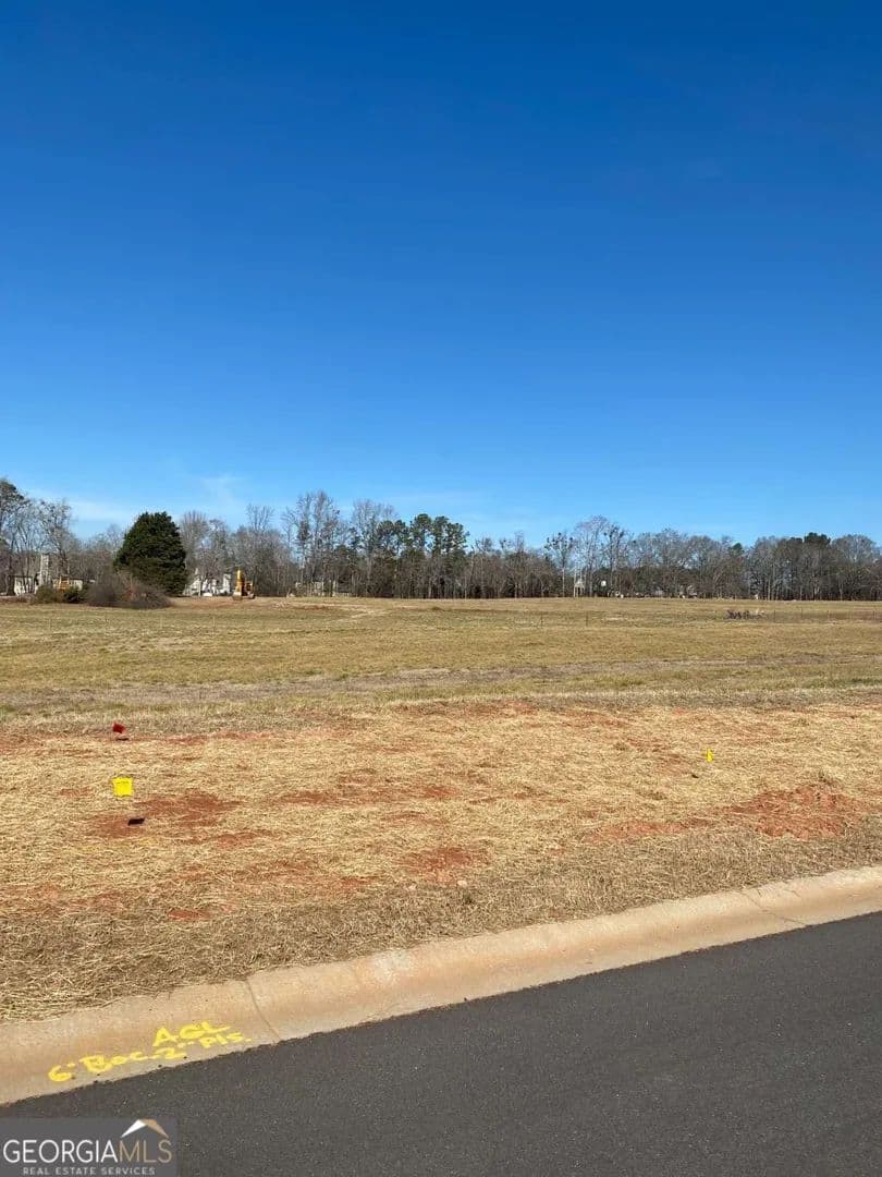 Vacant Land in Bogart
