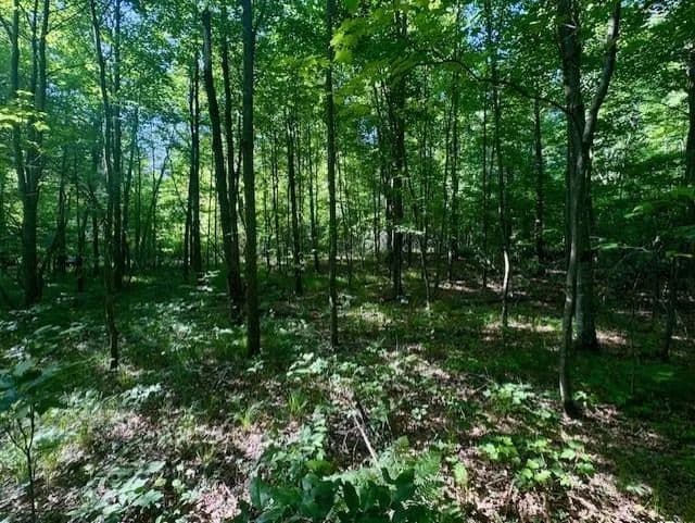 Vacant Land (0-10 Acres) in Willard - Willard, Wisconsin, 54493