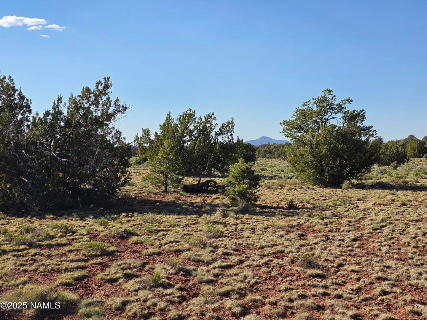 Vacant Land (10+ Acres) in Williams - land for sale
