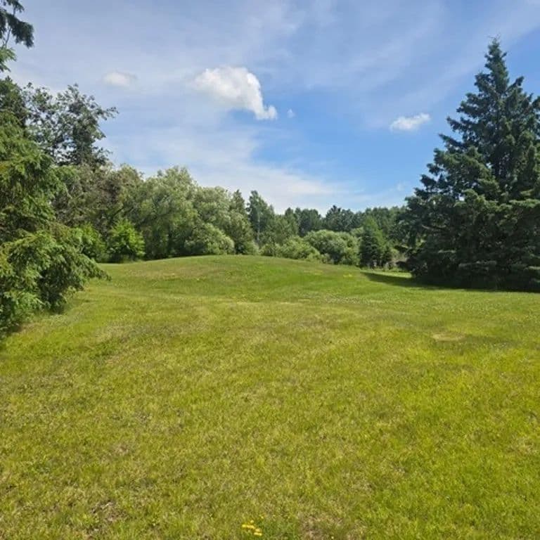 Land -Single Family Acreage in Nashwauk - Nashwauk, Minnesota, 55769