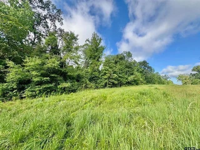 Land -Single Family Acreage in Winona - Winona, Texas, 75792