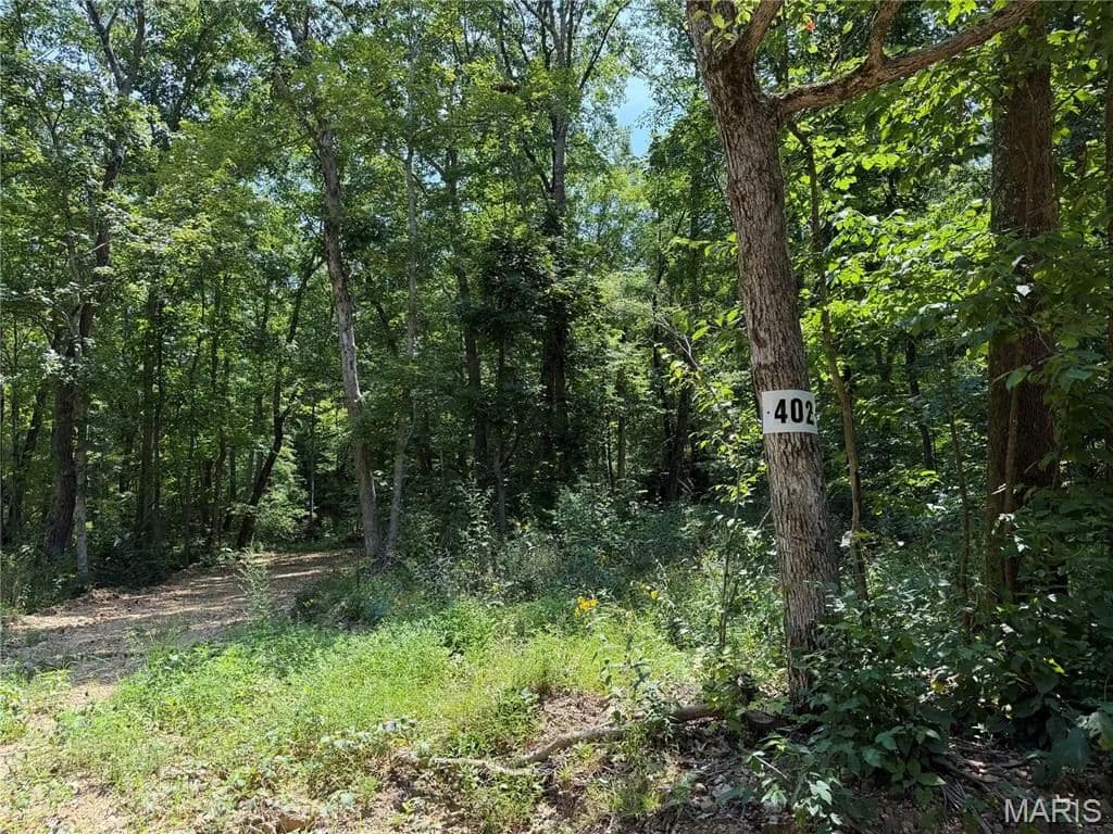 Lots & Land-Other in Fredericktown - Fredericktown, Missouri, 63645